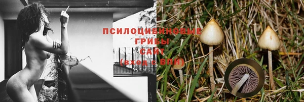прущие крисы Абинск
