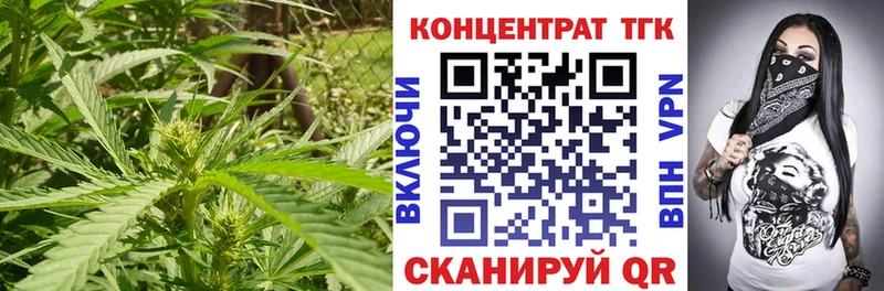 ТГК Wax  цены   mega tor  Энем 