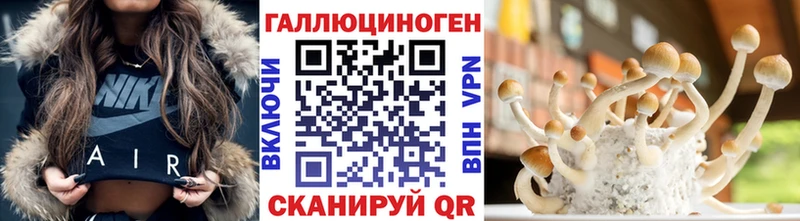 Галлюциногенные грибы Psilocybe  дарнет шоп  Энем 